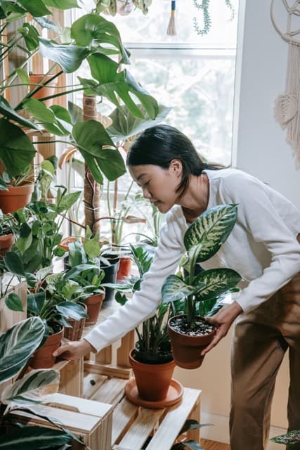 The Art of Growing and Thriving with Unique Plant Species